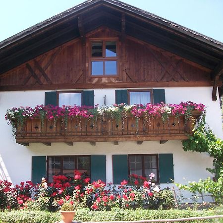 Haus Alpenrose Daire Schwangau Dış mekan fotoğraf