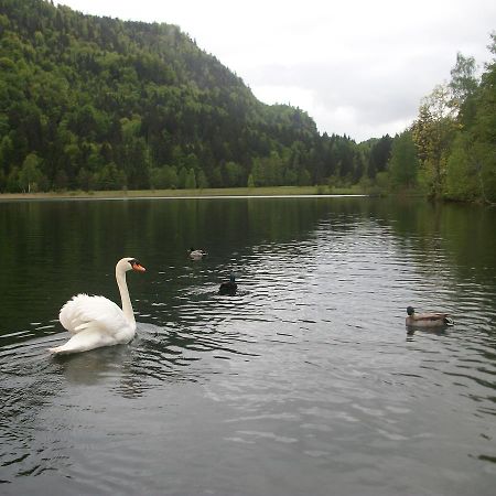 Haus Alpenrose Daire Schwangau Dış mekan fotoğraf