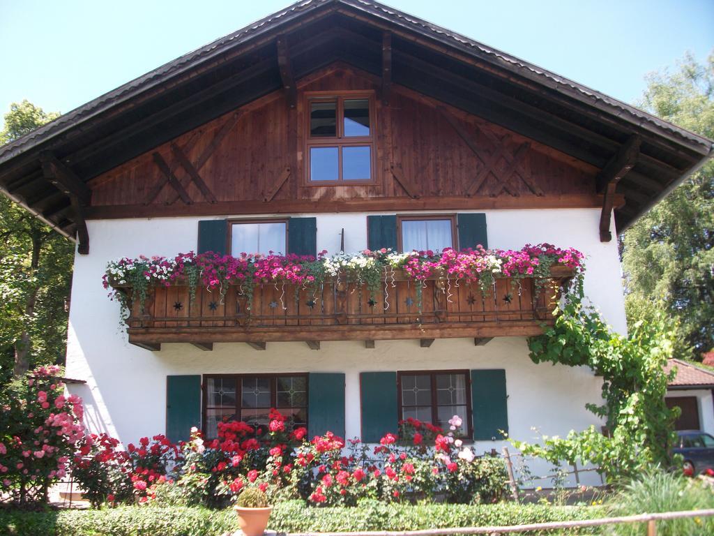 Haus Alpenrose Daire Schwangau Dış mekan fotoğraf