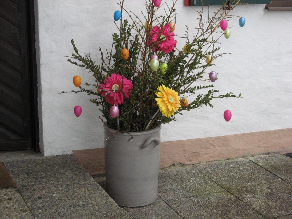 Haus Alpenrose Daire Schwangau Dış mekan fotoğraf