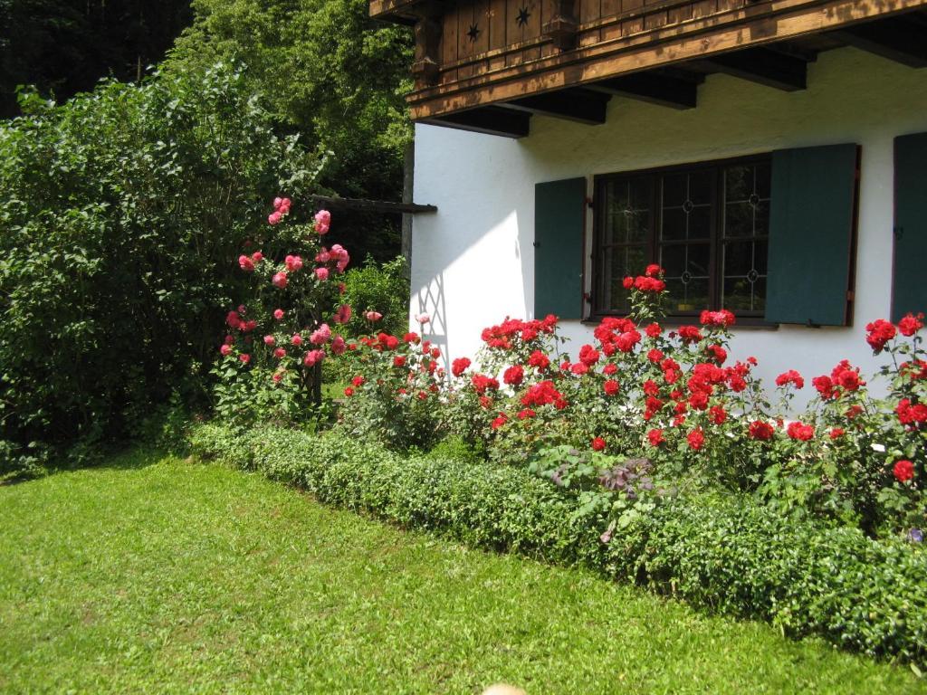 Haus Alpenrose Daire Schwangau Dış mekan fotoğraf